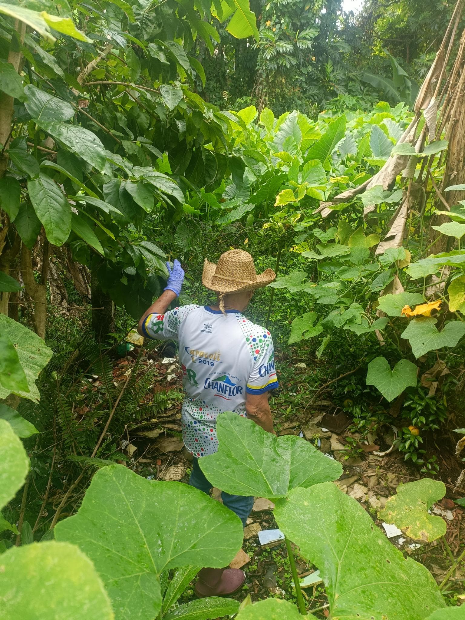 FIRE : la recette vient du jardin de Maminus